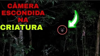 👹 DEIXEI UMA CÂMERA ESCONDIDA NA MATA DA CRIATURA A NOITE INTEIRA ** Tive uma surpresa #CRIATURA