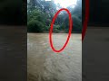 detik detik  orang nyebrang di saat banjir sungai meluap