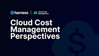 Harness Cloud Cost Management Perspectives