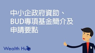 中小企政府資助、BUD專項基金簡介及申請要點