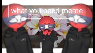 what you need meme ( CountryHumans laos )