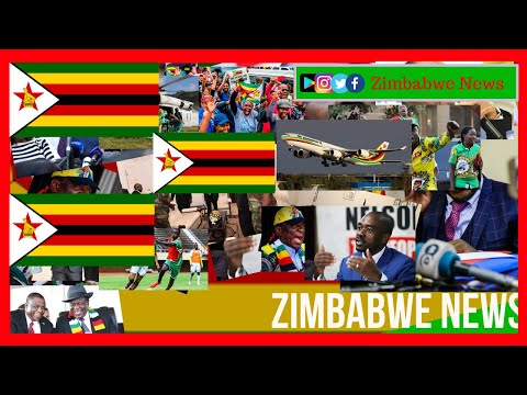 Zimbabwe Breaking News 7th March Youtube