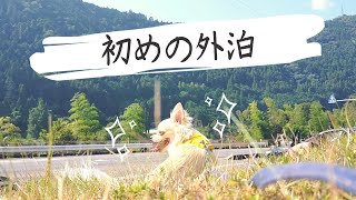 【犬と初温泉旅行】ペットと泊まれる旅館に愛犬と行ってみた♪１日目Vlog