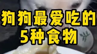 狗狗最爱吃，也最应该吃的5种食物 狗狗 萌宠好物 养狗人 新手养狗