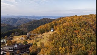 秋のツインリンクもてぎ　紅葉に染まるハローウッズの森