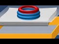 northern blot method animated video