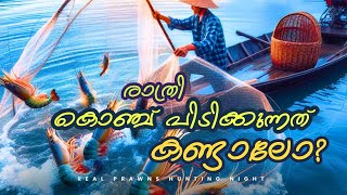 രാത്രി വലവീശി ചെമ്മീനും കൊഞ്ചും പിടിച്ചു | Village Fishing on Lake malayalam video | tripontime