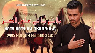 New Noha 2020 I Haye Haye Ali Akbar I S. Hussain Haider Zaidi | New Muharram Noha 1442H | 2020-21