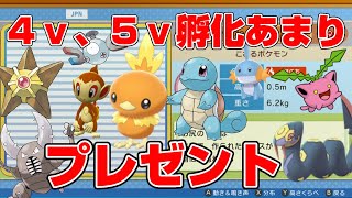 【ダイパリメイク】４V、５V孵化あまり配布します！ランダムバトルしながら【ポケモンBDSPシャイニングパール】