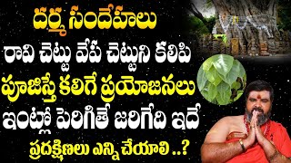 రావి చెట్టు - వేప చెట్టు కలిసి ఉండవచ్చా..? | రావి, వేప చెట్లు ఇంట్లో ఉండవచ్చా..? | Dharma Sandehalu