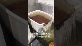 等大池的玻璃，估计还得一个月啊[笑哭][