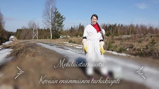 Mehiläistarhausta - Kevään ensimmäinen tarhakäynti