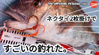 【タイラバ】大型を魅力する、ネクタイ2枚掛け。すごいの釣れた。TFC offshore fishing #56