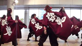 第2回YOSAKOI高松祭り・岡山うらじゃ連楽鬼