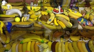 International Banana Museum