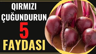 5 Benefits of Red Beet | Constipation | Aphrodisiac | Protects against Cancer | 2022