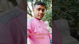 আমাদের গ্রামের বাড়ি #amazing #omg #shorts #shortvideo #viralvideo #foryou