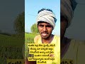 ఆలోచించండి ఒక రైతు బాధ agriculture 2025 trending shorts vivasayam rythu viral support