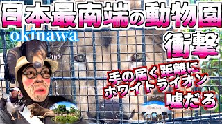 【沖縄おすすめ】沖縄動物園を徹底攻略！マップで巡る動物園散策！県民大好き! 沖縄こどもの国 okinawa japan zoo【沖縄旅行】