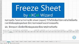 QQ31 Freeze Sheet