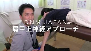 肩甲上神経アプローチ DNMJAPAN 岩吉新