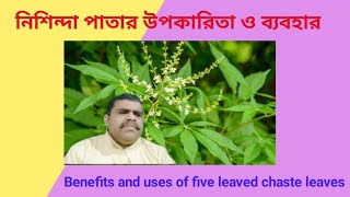 নিশিন্দা পাতার উপকারিতা ও ব্যবহার।Benefits and uses of five leaved chaste leaves