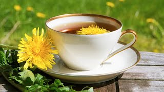 All about the medicine that cures 100 diseases! Dandelion for the liver and heart!