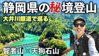 【登山】初心者おすすめ 智者山×天狗石山 奥シズ 南アルプス 大井川鐵道で縦走周回 奥大井湖上駅-千頭駅