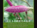 劉文正 雨中的故事