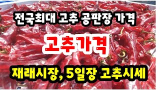 전국최대 고추공판장 가격과  재래시장 고추시세 #고추시세