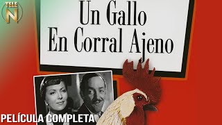 Un Gallo En Corral Ajeno | Tele N | Jorge Negrete