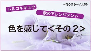 花心伝心Vol59　色を感じて２