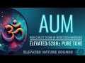 Aum: The Sound of Creation