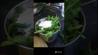 Pudina_Mint_Chutney