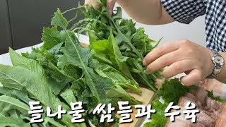 여름 들나물 쌈 뜯어 아이들과 보쌈 해먹었어요 왕고들빼기 사데풀 가시상추 명월초 상추