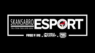 HASIL SCRIM SKANSABRO E-SPORT#2