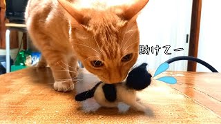 羊毛フェルトでうちの猫を作ってみたよ！でも．．．