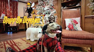 A Dripped Out Country Christmas With Dripp On Demand: Vlog