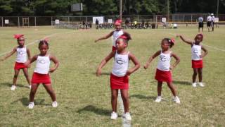 TwinSportsTV: North Dekalb Chargers 6U Cheerleaders