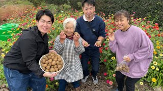 【採れすぎ⁈】最強ファミリーでキウイ🥝を収穫してみたら...