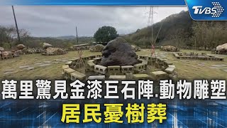 萬里驚見金漆巨石陣.動物雕塑 居民憂樹葬｜TVBS新聞 @TVBSNEWS02