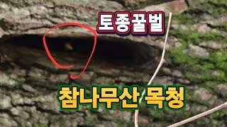 (24.7.22)산삼 대신 목청^^