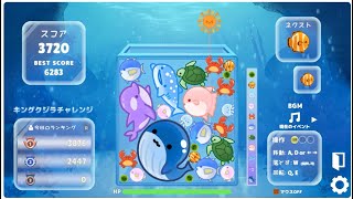 キングクジラチャレンジ（ビデオクリップ・2025/1/12 PM6時）