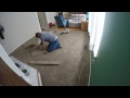 professional carpet installation