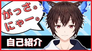 【新人Vtuber】火乃宮ラルです！！【自己紹介】