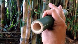 Bamboo Flute - How To Make A Flute by bamboo