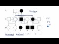 pedigrees classical genetics high school biology khan academy