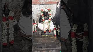 Thiruvellarai | Kodapillai Ayyanar Temple |திருவெள்ளரை | கோடபிள்ளை அய்யனார் கோவில்#ayyanar #iyyanar