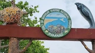 மன்னார் வளைகுடா கடல் தேசிய பூங்கா தமிழ்நாடு gulf of mannar marine national park tamil nadu vlogs to