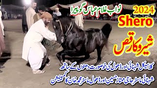 Shero with Ali Hamza  l Horse Dance l Moza Koria Arifwala Pakpatan l Nawab Ghulam Abbas Gopera Al